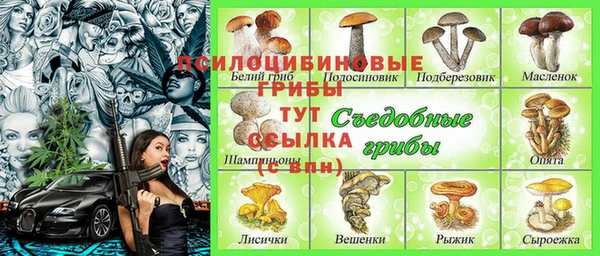 индика Баксан