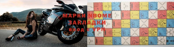 индика Баксан