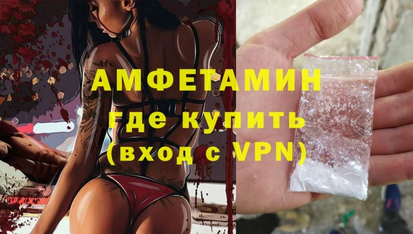 индика Баксан