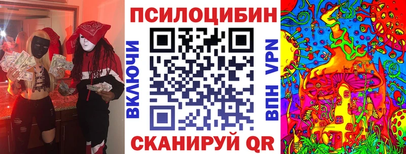 Галлюциногенные грибы Psilocybe  Велиж 